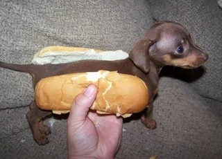 Fig 5 - Our model predicts this is a hotdog with p=0.87