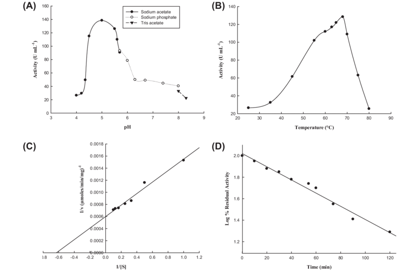 Fig 4 - Wheat α-amylase activity profile (adapted from Soni et al., 2011, ResearchGate).
